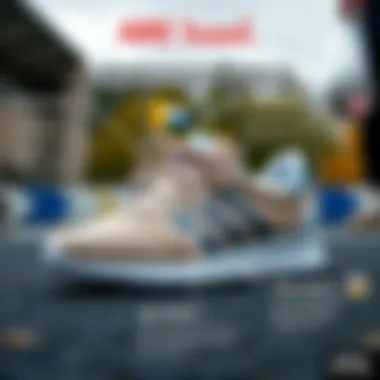 Infographic illustrating the care tips for maintaining suede shoes.