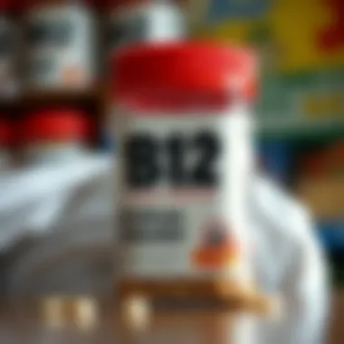 B12 İçeren Sebzeler: Sağlığınıza Katkıda Bulunan Doğal Kaynaklar Summary B12 İçeren Sebzeler: Sağlığınıza Katkıda Bulunan Doğal Kaynaklar Summary