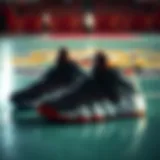 Basketball shoes showcasing different designs