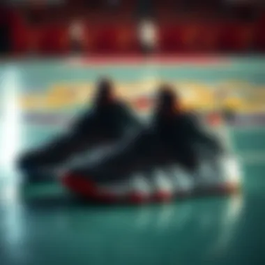 Basketball shoes showcasing different designs