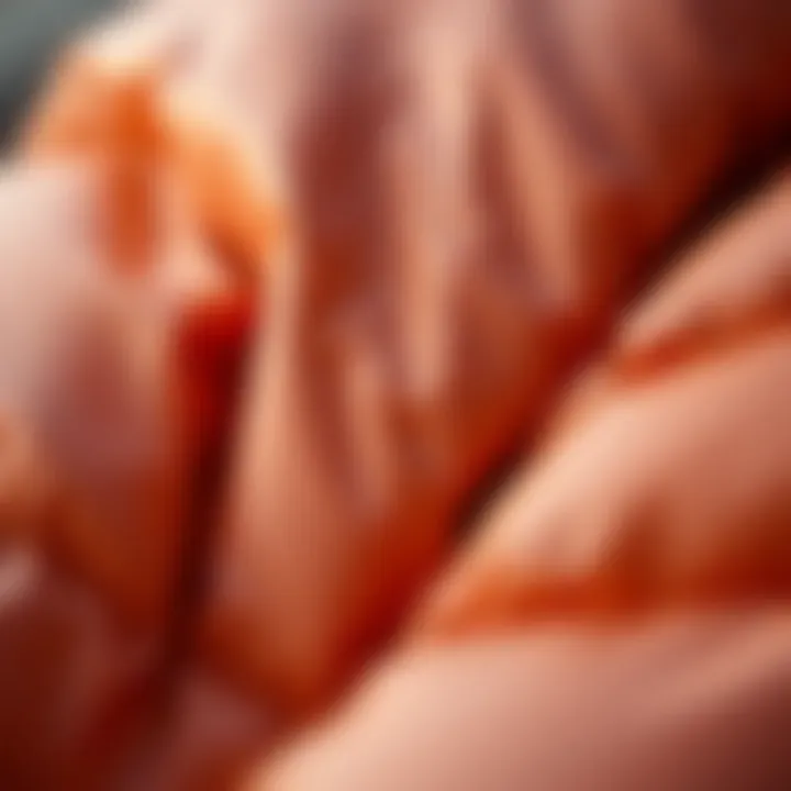 Close-up of high-quality down material and stitching