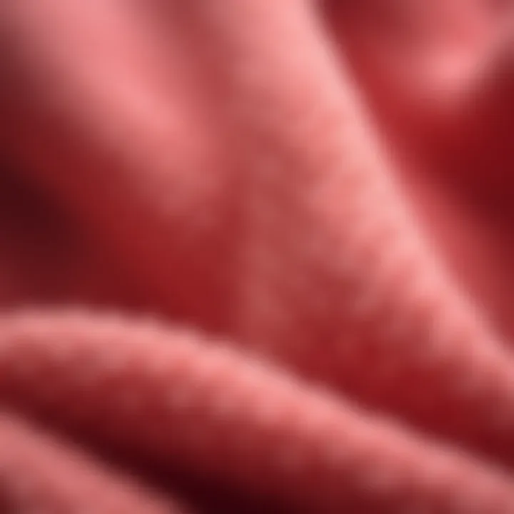 Close-up of fleece fabric showcasing its warmth and texture