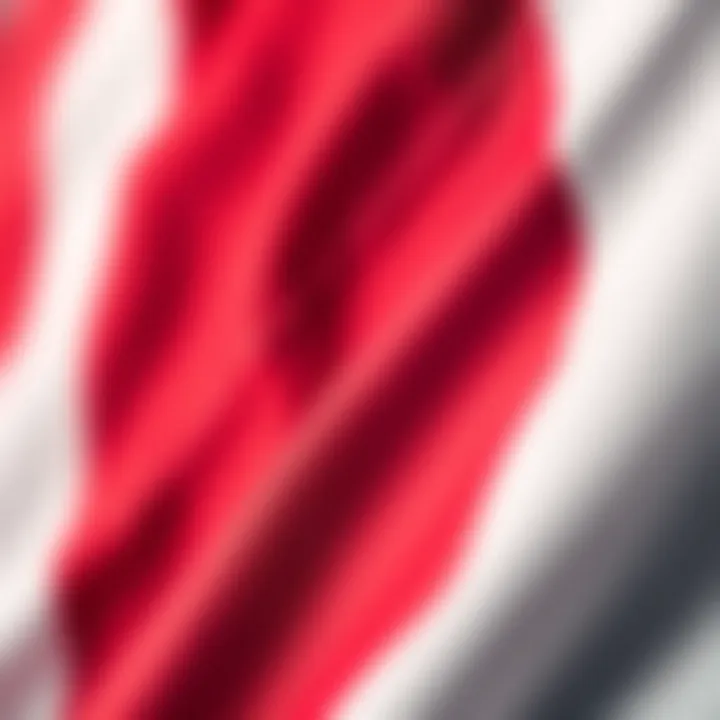 Fabric and Stitching Details of Galatasaray Jersey Close-up of fabric and stitching on Galatasaray jersey