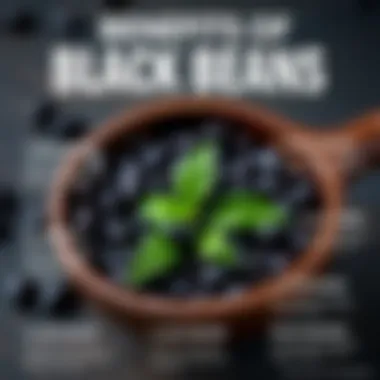 Infographic detailing benefits of black beans for athletes