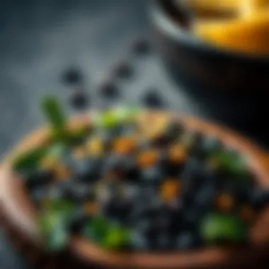 Diverse dishes showcasing black beans as a protein source