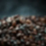 Nutritional analysis of black beans highlighting protein content