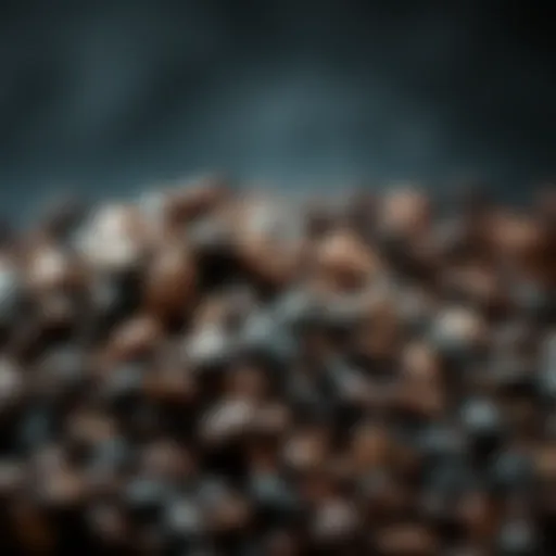 Nutritional analysis of black beans highlighting protein content