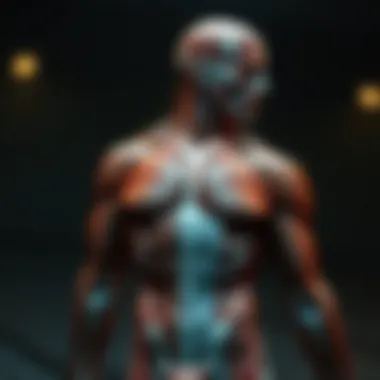 Detailed anatomy of major muscle groups