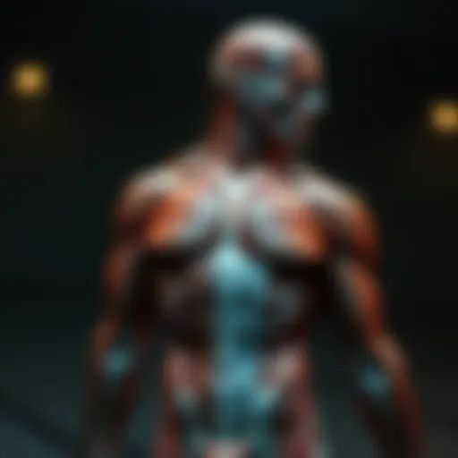 Detailed anatomy of major muscle groups