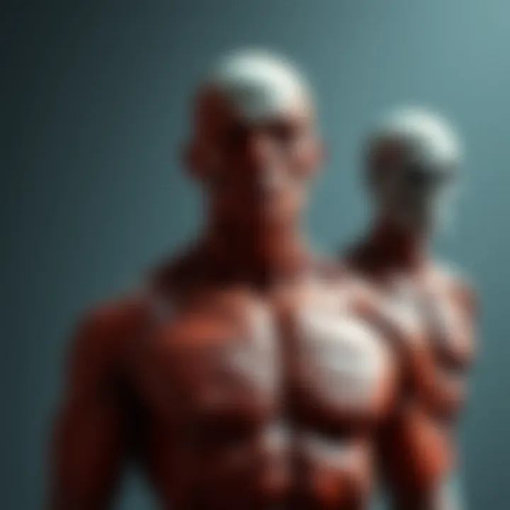 Comparison of different muscle structures