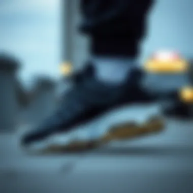 Nike Air Max in Fashion Collections