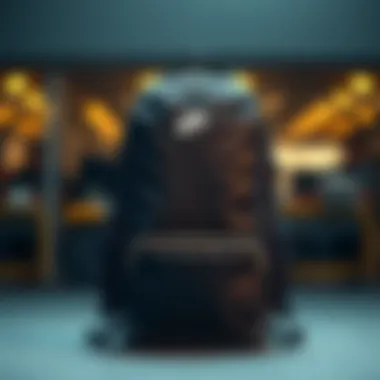 Functional compartments of Nike backpack for organization