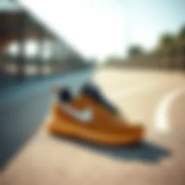 Fashionable look of Nike footwear for everyday use.