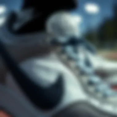 Close-up of Nike Siyah Court Borough detailing