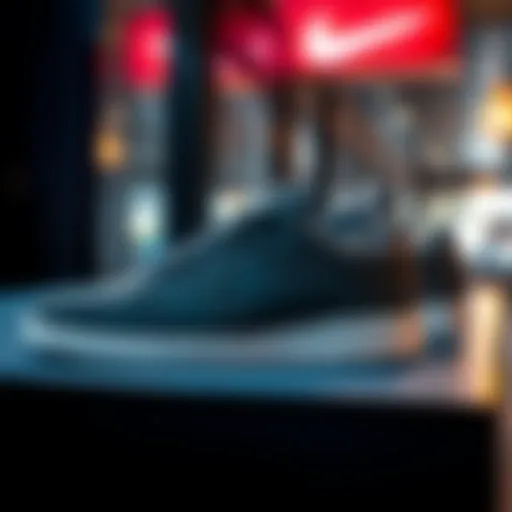 Stylish Nike Siyah Court Borough on display