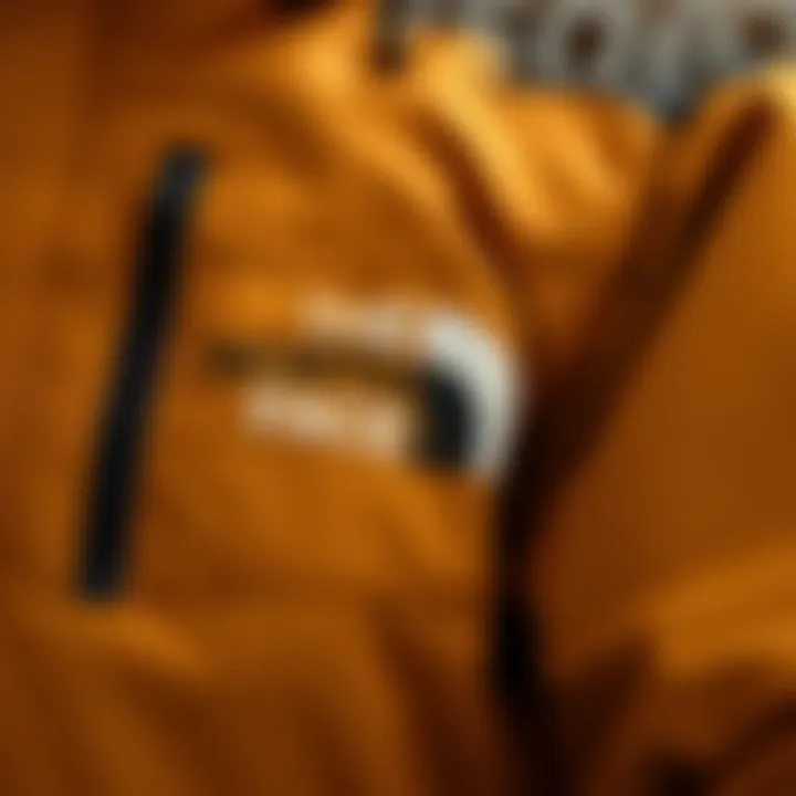 Close-up of the fabric and stitching details of the North Face Denali jacket highlighting its quality and craftsmanship