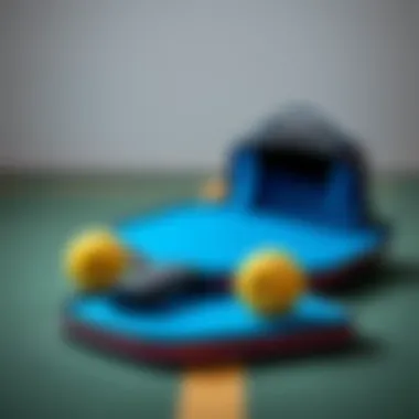 Pickleball equipment including paddles and balls