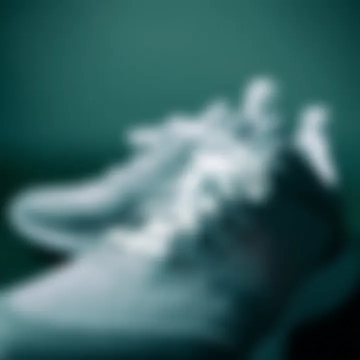 Materials of Schecter Athletic Shoes Close-up of Schecter athletic shoes showcasing materials