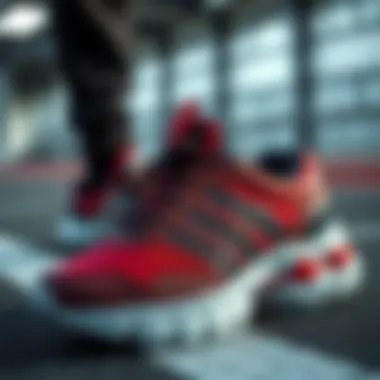 Comparison of features in various sports shoe models