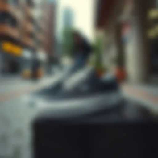 Stylish Vans lifestyle shoes displayed in a trendy urban setting